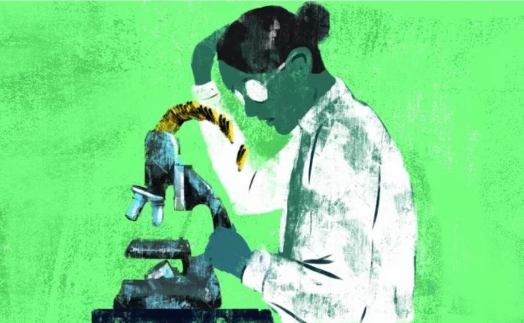 Ilustración: DANTE DE LA VEGA. EL UNIVERSAL