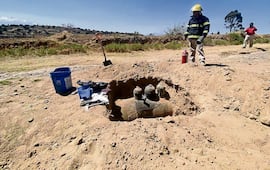 Detectan 156 tomas clandestinas de hidrocarburo en Querétaro
