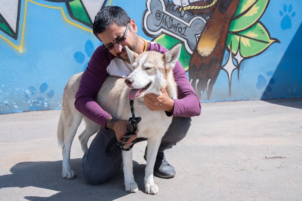 Destacan a centro de atención animal