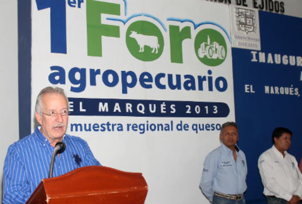 Muestra regional de quesos en El Marqués