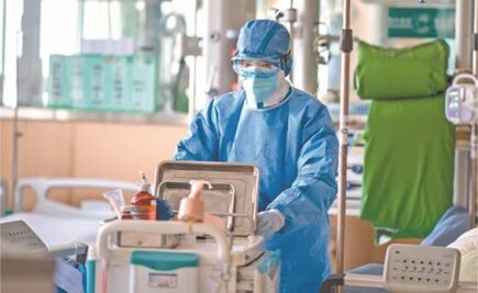 Las personas podrían transmitir Covid-19 a mascotas