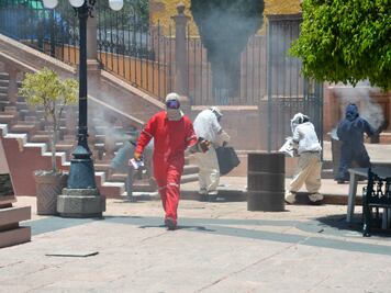 Contingencia por ataque de abejas