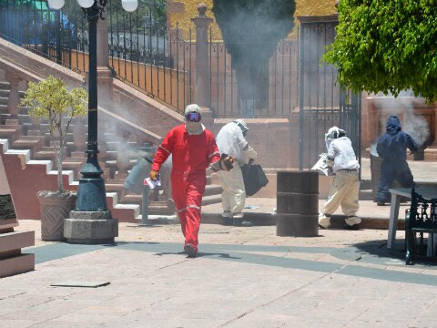 Contingencia por ataque de abejas