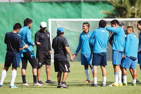Gallos Blancos, “afianzados”