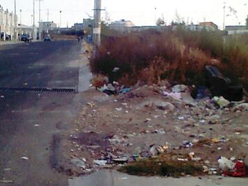 Incumplen servicios en colonia Paseos