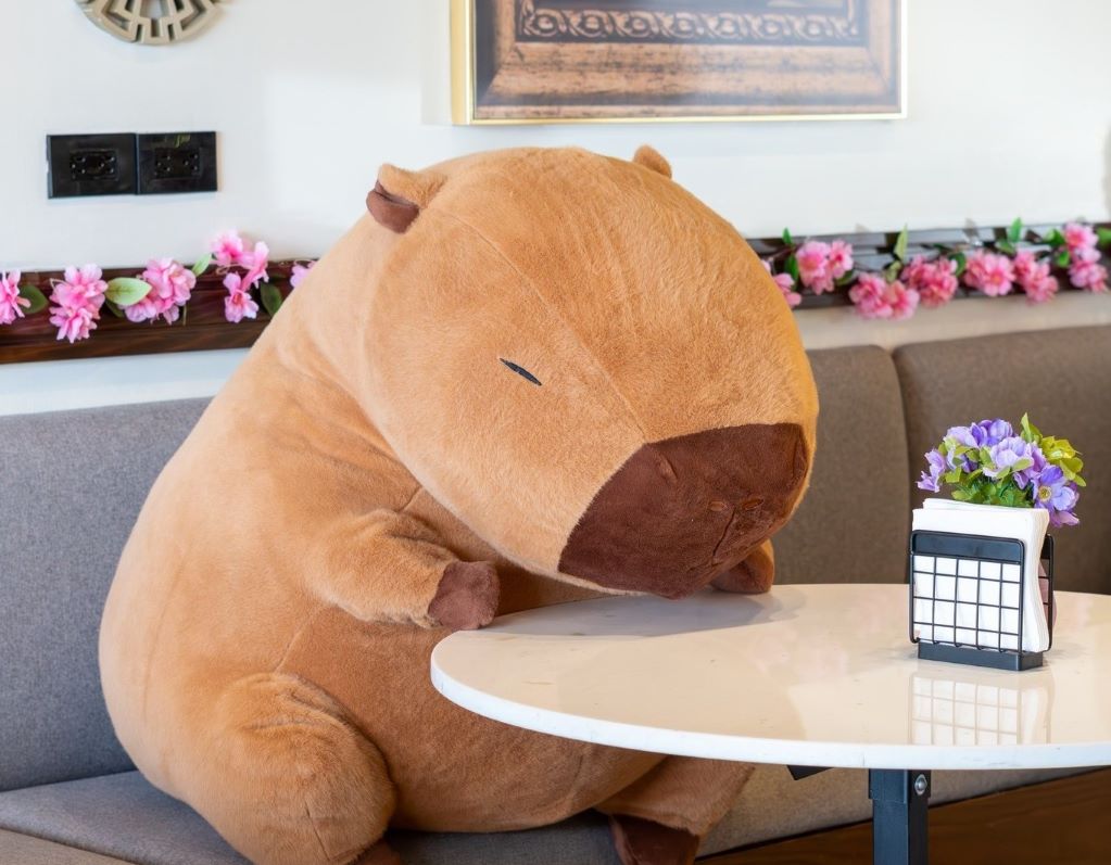 Facebook: Capybara Café MX