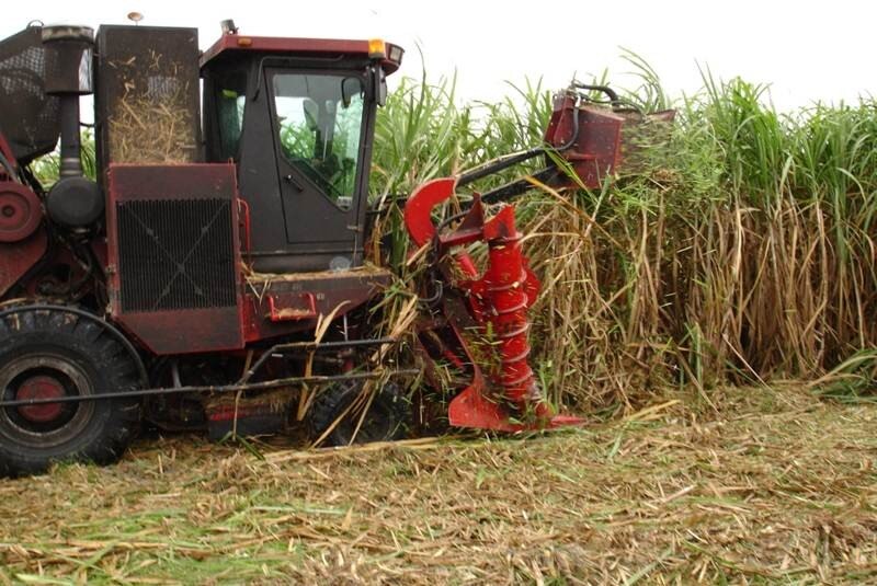 Reactivan licitación de ingenios azucareros
