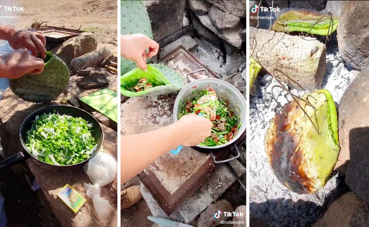 Bloguero queretano muestra cómo elaborar nopales en penca