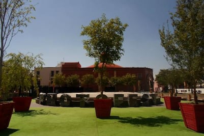 Promueven proyecto de foto 3D