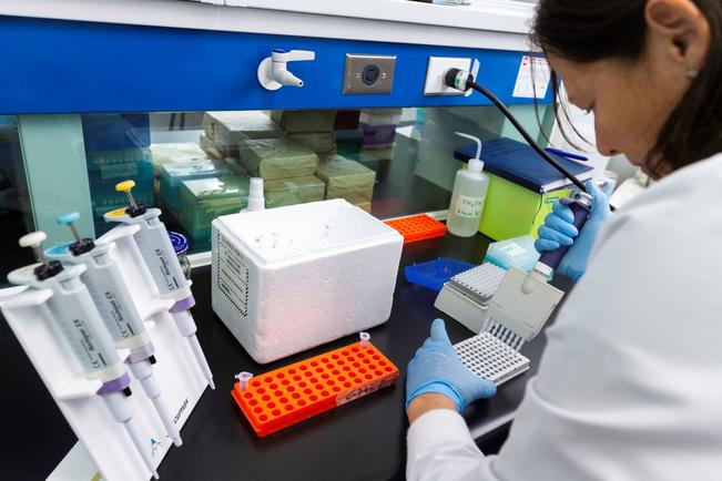 UAQ busca fondos para hacer pruebas