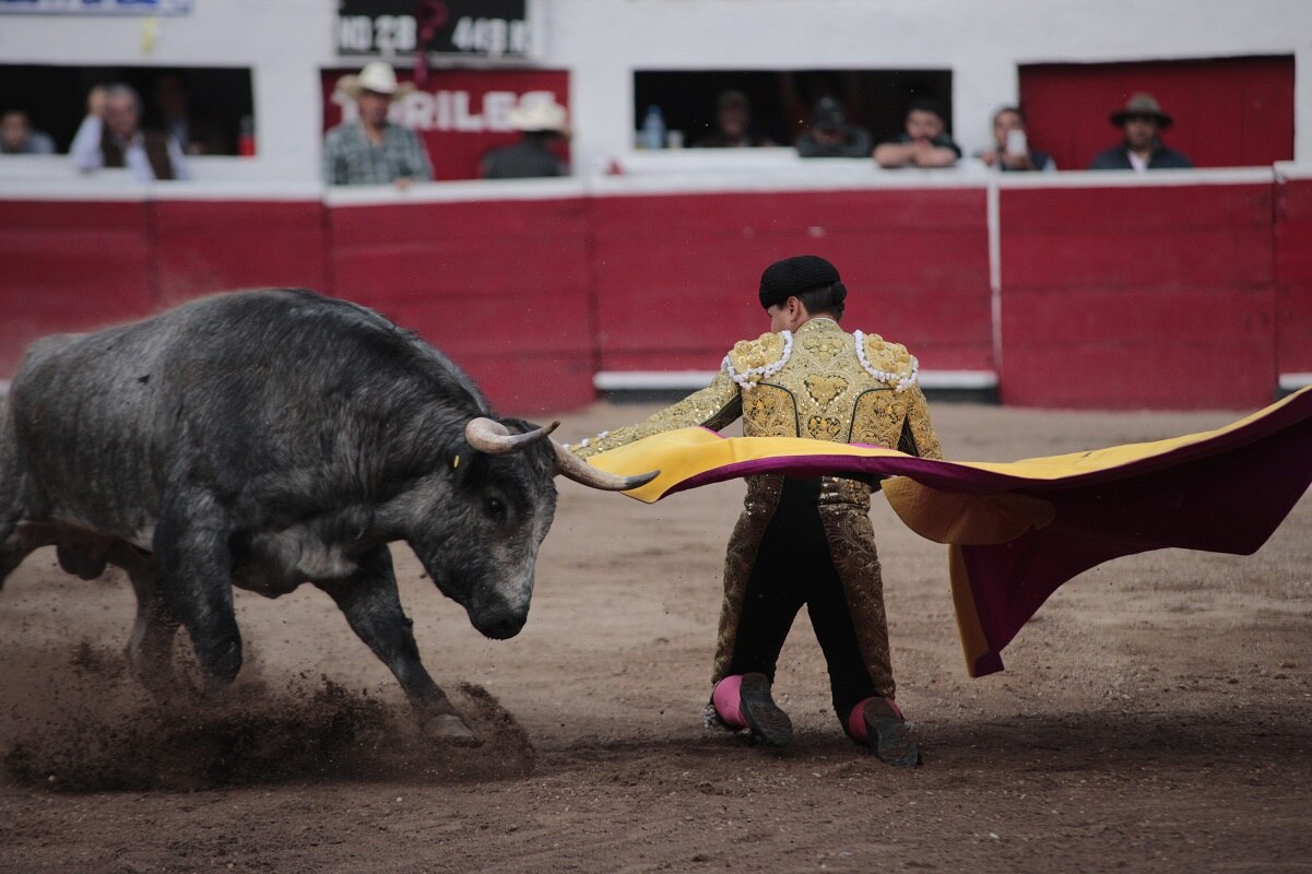 Congreso de Querétaro busca declarar patrimonio cultural a la Plaza de Toros Santa María