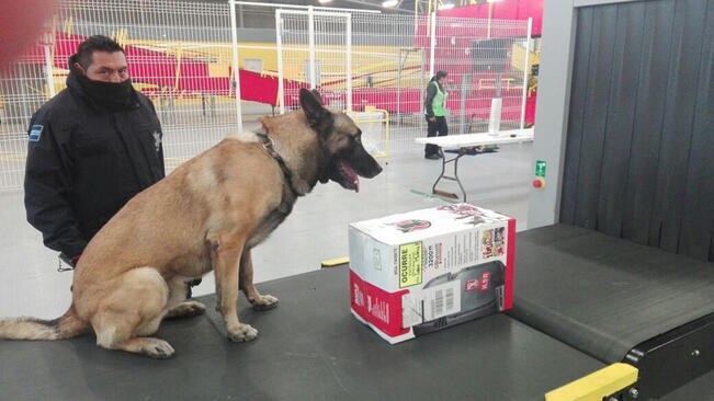 Aeropuerto de Querétaro detecta diariamente paquetes con drogas
