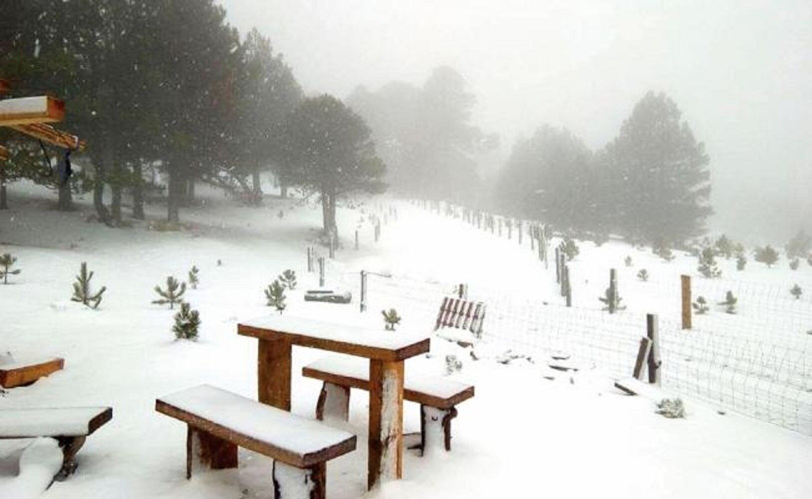 Para evitar riesgos a los visitantes, en Jalisco las autoridades cerraron el acceso al parque Nevado de Colima debido los vientos fuertes y nubosidad (PROTECCIÓN CIVIL DE JALISCO)
