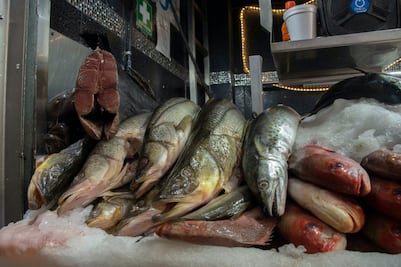 Ya hay operativos para vigilar venta de pescados y mariscos 