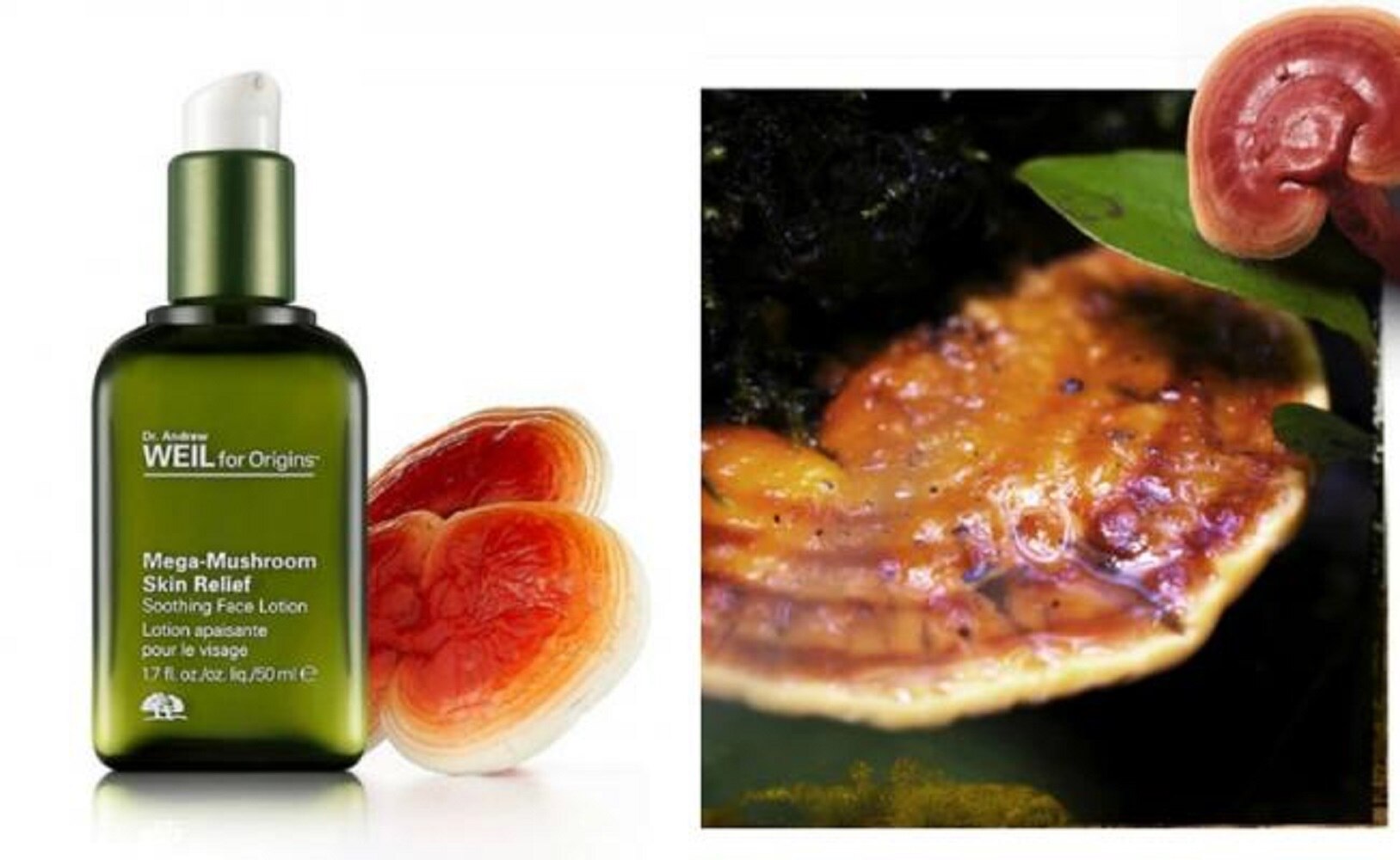 ¿Hongos en tu rutina de belleza? El nuevo método que rompió el Internet