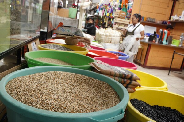 Cesan a 16 malos inspectores en San Juan