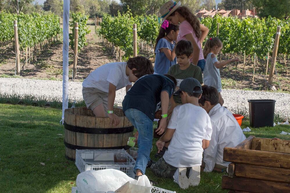 Una nueva fiesta de la vendimia 
