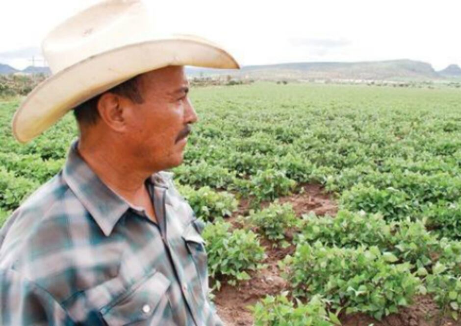 Necesario impulsar testamento agrario 