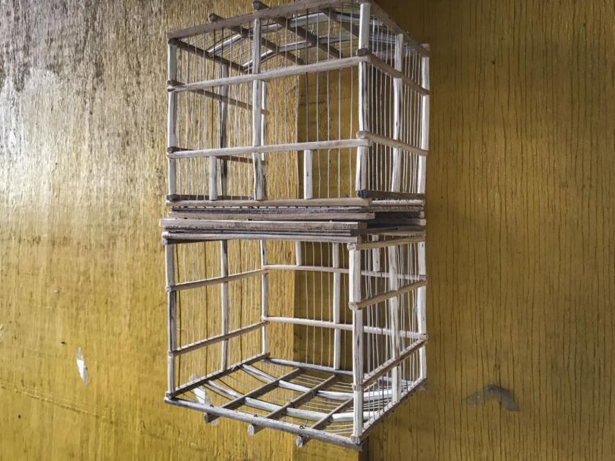 Foto: Demian Chávez