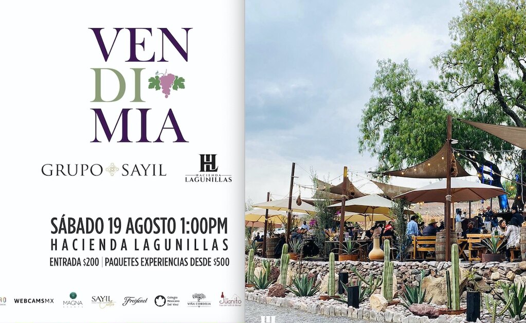 Lista la Vendimia 2023 de Hacienda Lagunillas y Grupo Sayil