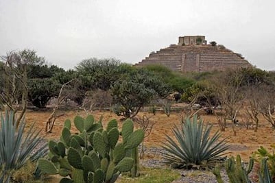 Ve Kuri poco viable solventar trabajos