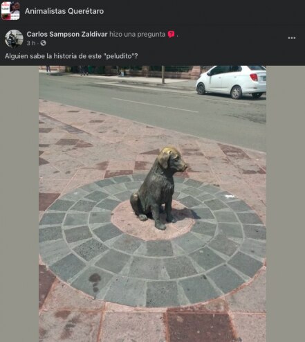 La "estatua del perrito". Querétaro tuvo un "Hachiko" que esperó a su dueño por años