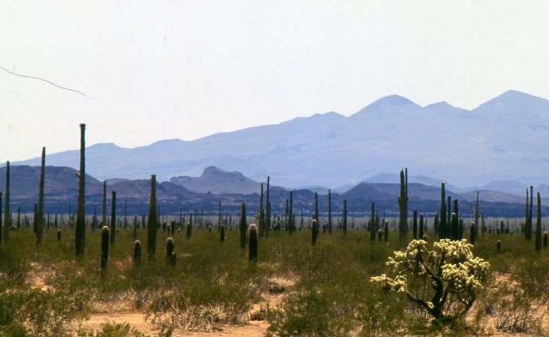 Los jóvenes o´odham deben prepararse física y espiritualmente para el trayecto por el desierto Foto: Cortesía INAH