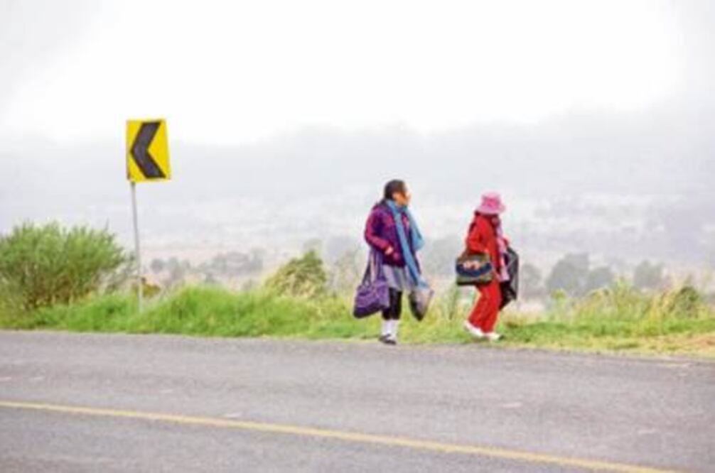 Invertirá capital en acciones contra el frío