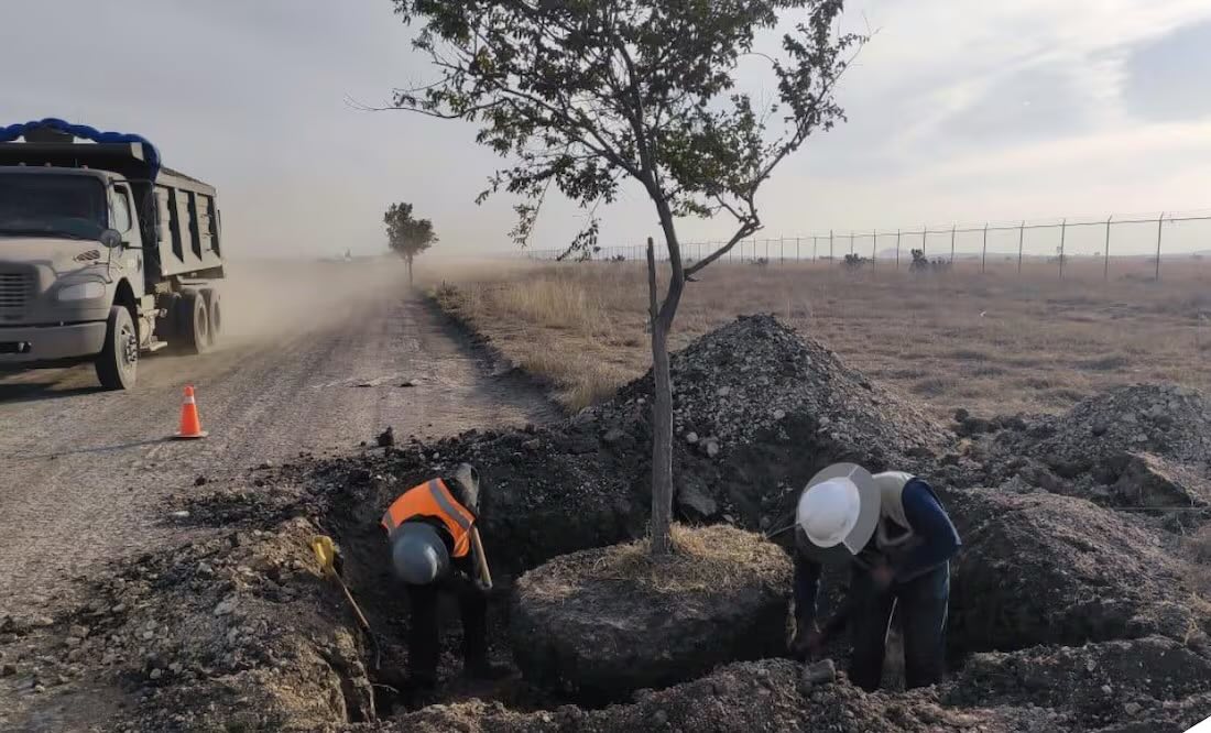 Foto: X @Claudiashein