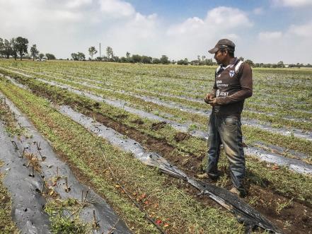 Tláloc  atormenta a vecinos de La Griega con fuerte granizo 