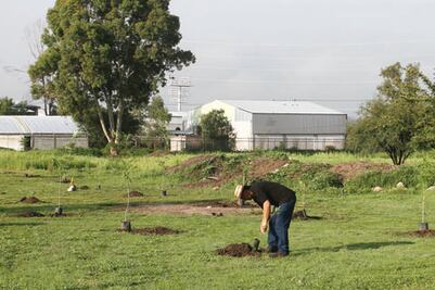Alerta UNAM sobre falta de regeneración del suelo