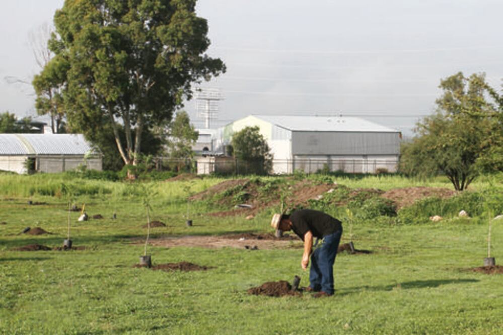 Alerta UNAM sobre falta de regeneración del suelo