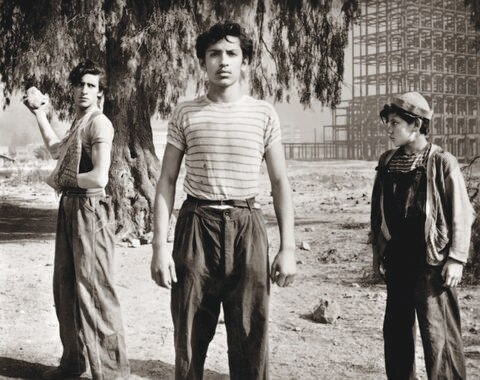 UAQ proyectará Muestra de Cortometrajes