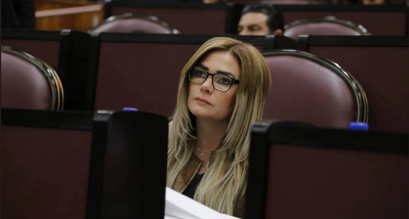 “¡Yo soy diputada!, ¡Usted trabaja para nosotros, entienda!”, diputada del PAN a empleado