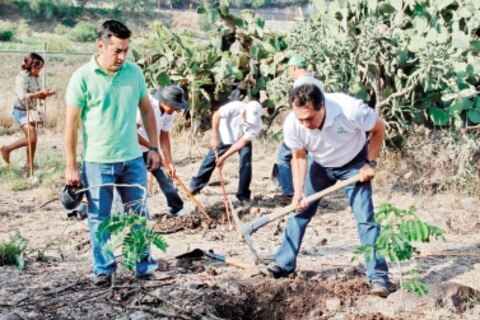 Van 16 mdp a ecoproyectos