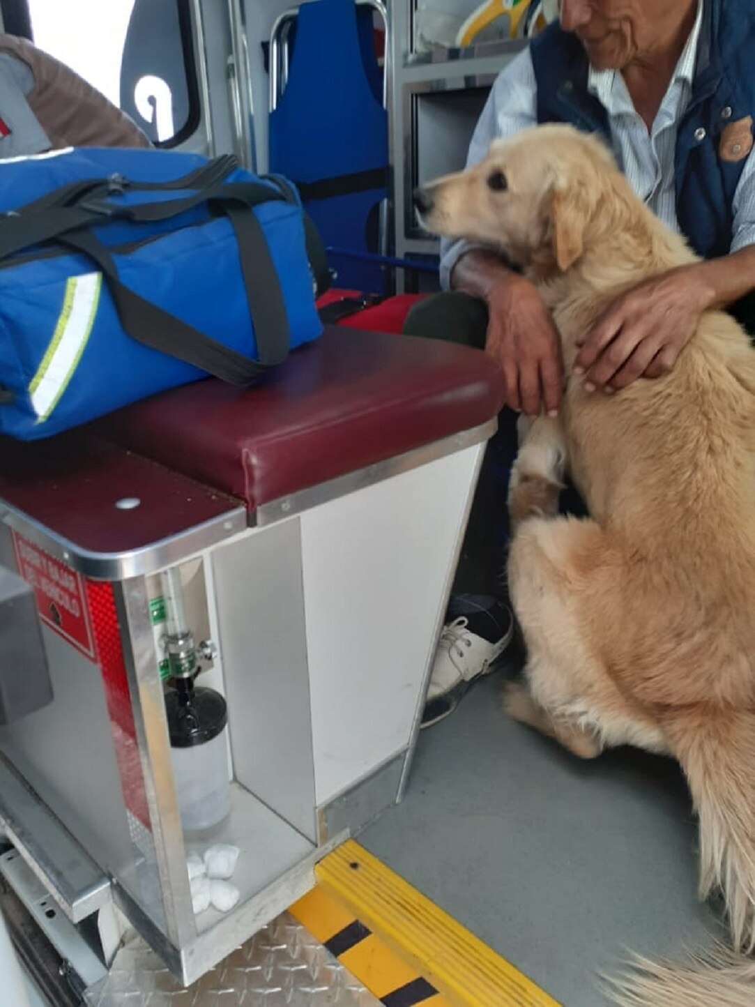 Inseparable. Perrito acompaña a su dueño en la ambulancia