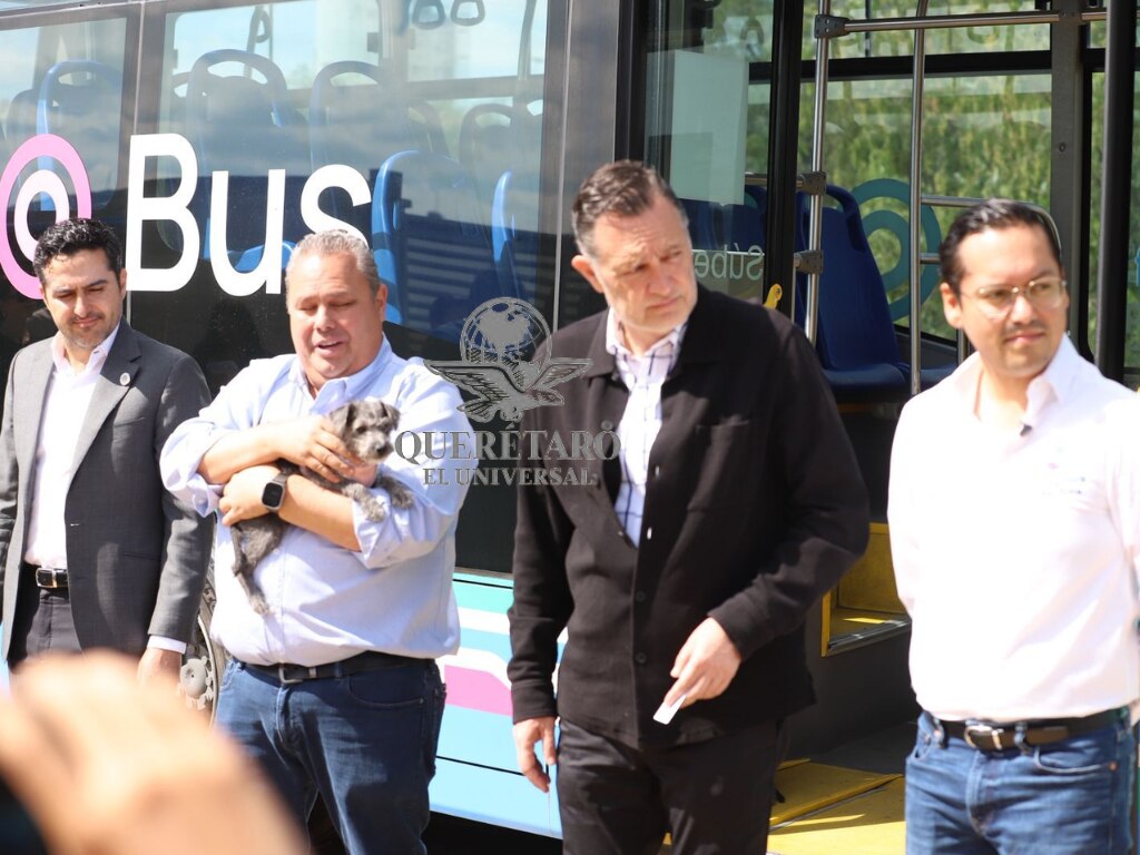 AMEQ lanza sistema Qrobús Pet Friendly: mascotas podrán viajar en el transporte público de Querétaro