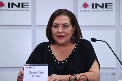 Opinión. Taddei impulsa presupuesto franciscano en el INE