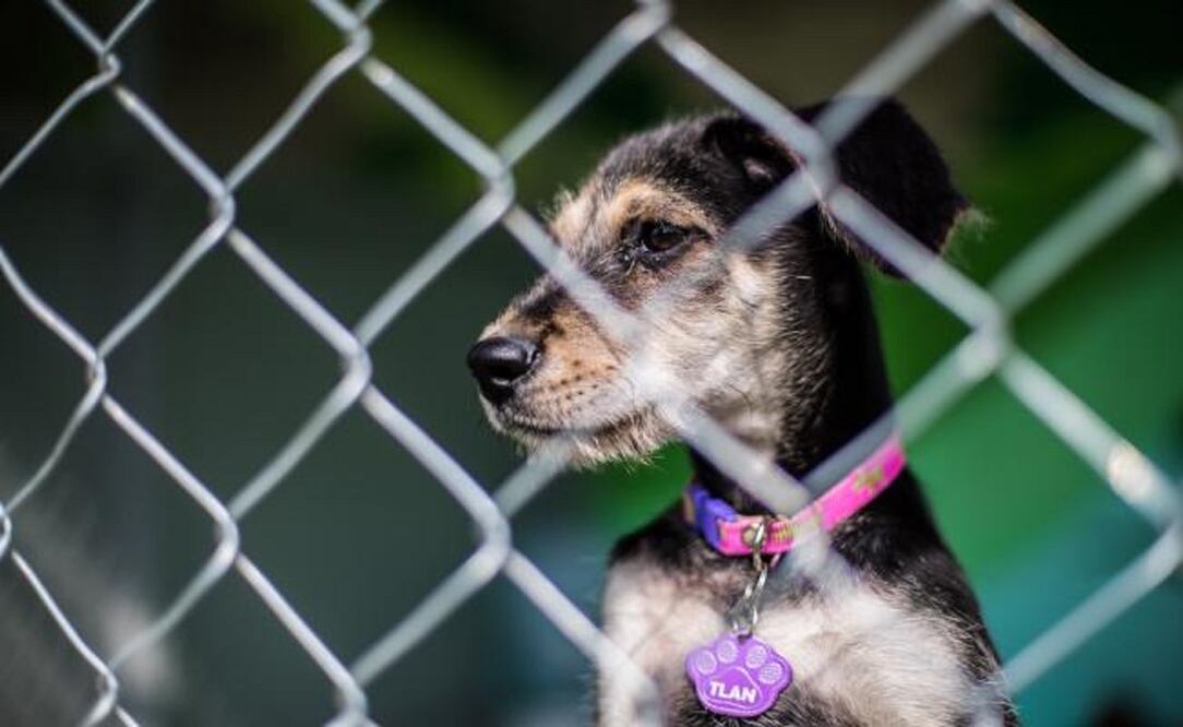 Archivo / EL UNIVERSAL