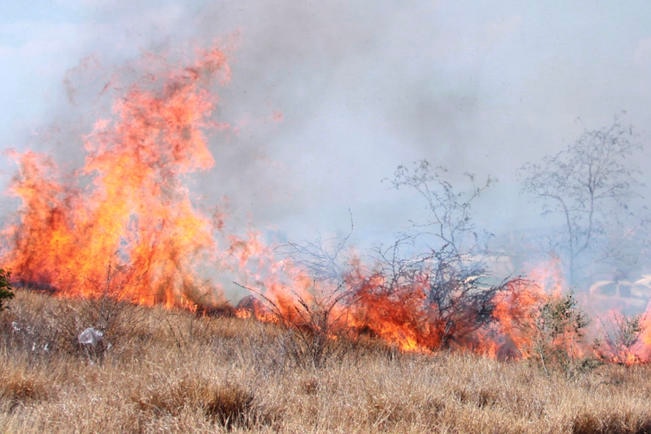 Foto: Archivo. El Universal