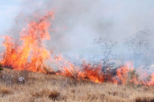 "En 2019 se elevó 200% los incendios en la capital": Protección Civil