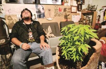 “No hay sustento para prohibirla”