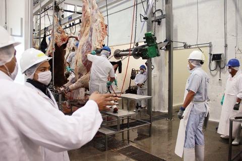 Supervisan rastro municipal