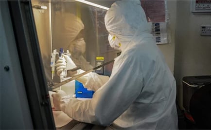Laboratorio chino experimenta en monos con éxito vacuna contra Covid-19