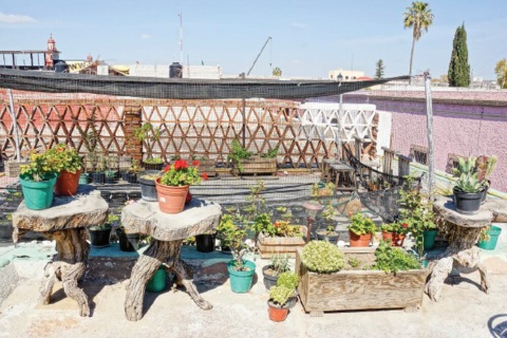 Eco tienda, centro alternativo