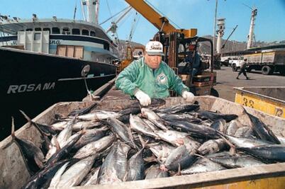 OMC falla a favor de México por el atún