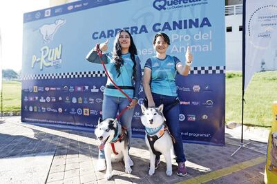 Invitan a la carrera canina P-Run 2023