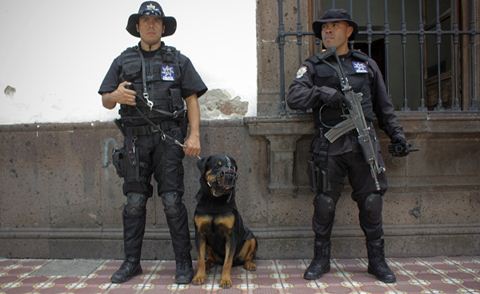 Policías de SJR sin capacitar: admiten