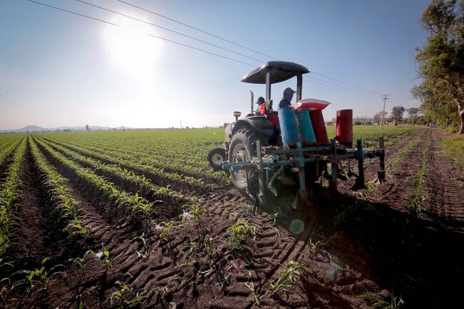 Proponen inversión de 100 mdp para el campo