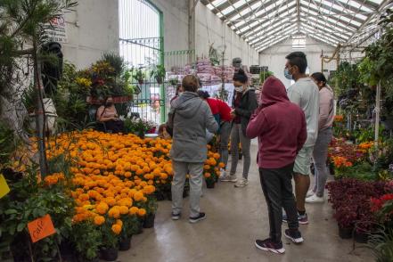 Mercado espera florecer con venta de cempasúchil